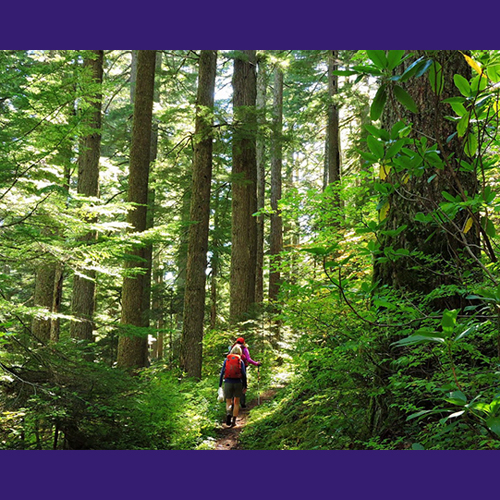 Bell Creek Loop Hike