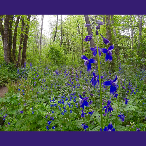 Hiking Safety Tips To Keep Your Trip Fun