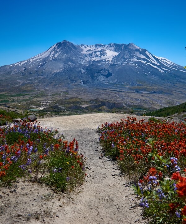 Mt. St. Helens ViewPoint